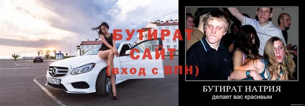дмт Бородино
