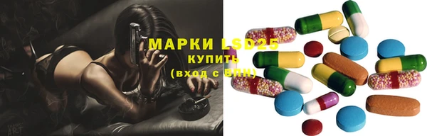spice Верея