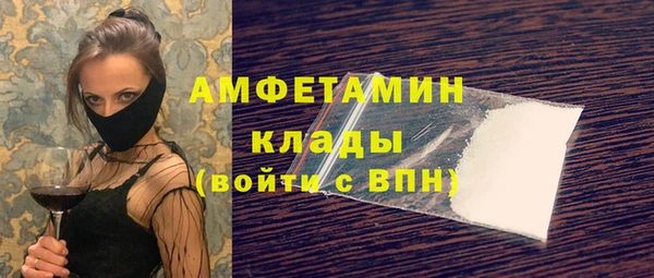 дмт Бородино