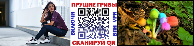 Галлюциногенные грибы мухоморы  Северобайкальск 